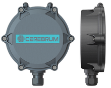 Load image into Gallery viewer, CEREBRUM ORB INDUSTRIAL GATEWAY