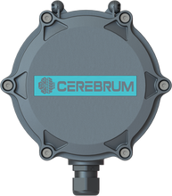 Load image into Gallery viewer, CEREBRUM ORB INDUSTRIAL GATEWAY